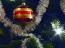 julgran